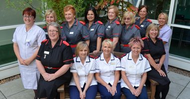 Image for Matrons