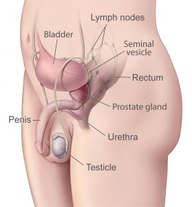 Prostatitis és fájdalom a sacrumban