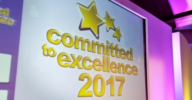 Image for Committed to Excellence Winners 2017