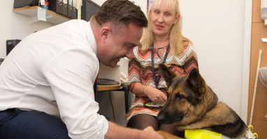 Image for The Dudley Group welcomes Guide Dog Tim