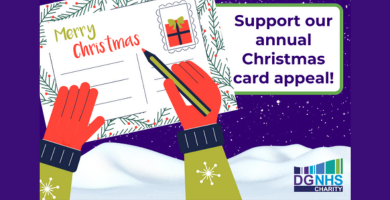 Image for Spread some festive cheer this season and send a Christmas card to a local Dudley NHS patient!
