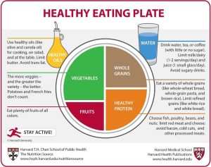 A colourful graphic with a circular plate in the centre divided into the different food groups, each one has its own colour. Around the plate there are items that fit into each food group category. The Harvard medical school logo is in the bottom right corner.