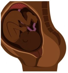 Side view of a pregnant stomach and with a baby inside.